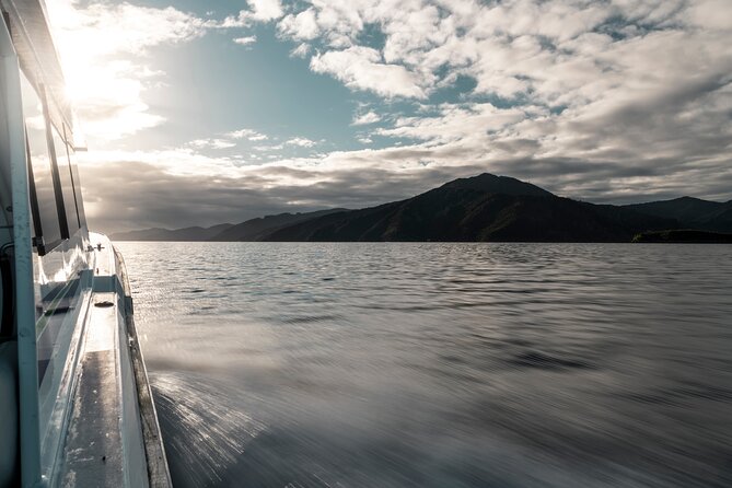 3 Hour Marlborough Sounds Delivery Cruise - Traveler Photos and Reviews