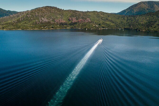 3 Hour Marlborough Sounds Delivery Cruise - Additional Information and Questions