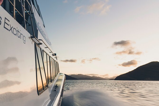 3 Hour Marlborough Sounds Delivery Cruise - Directions and Booking Information