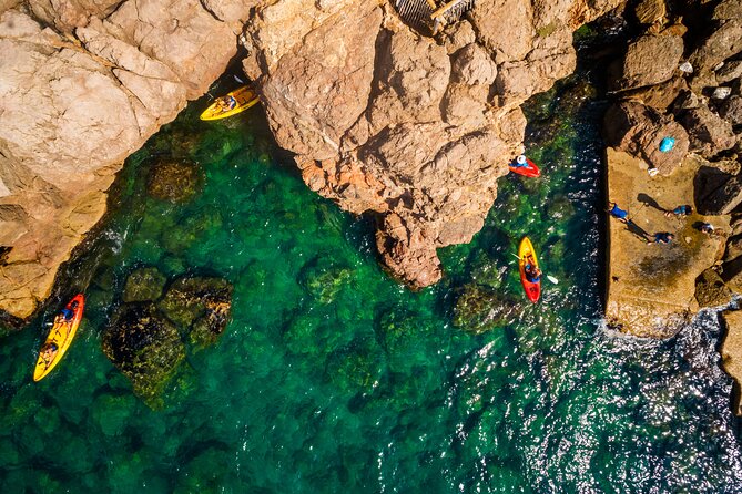 3 Hour of Sea Kayak Trip in the Creeks of Sete - Positive Experiences