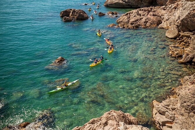 3 Hour of Sea Kayak Trip in the Creeks of Sete - Common Questions