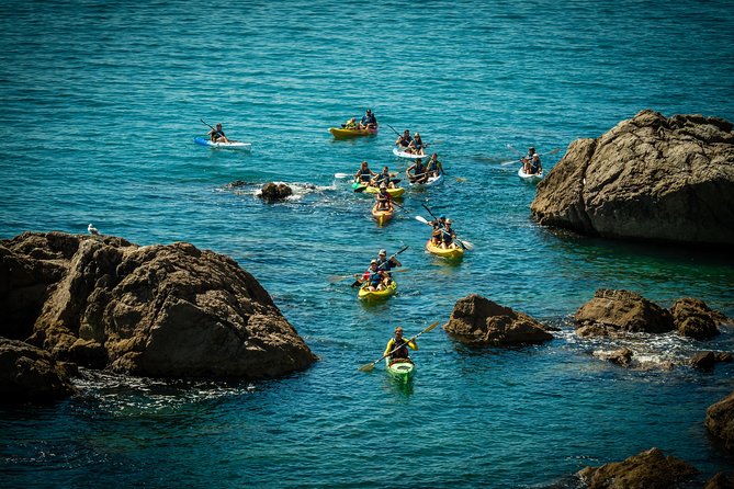 3 Hour of Sea Kayak Trip in the Creeks of Sete - The Sum Up
