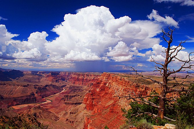 3 Hour Off-Road Sunset Safari to Grand Canyon With Entrance Gate Detour - The Sum Up