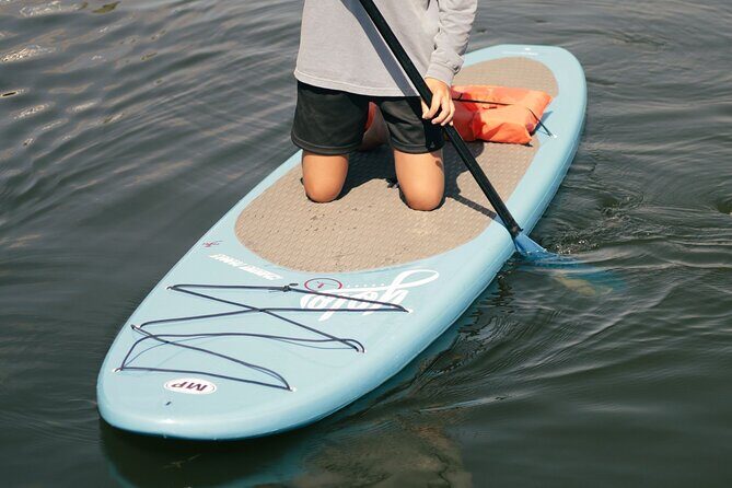 3 Hour Paddle Board Rental - Good To Know
