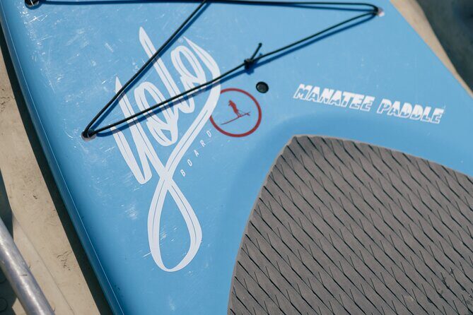 3 Hour Paddle Board Rental - Authentic Insights & Tips Based on Feedback