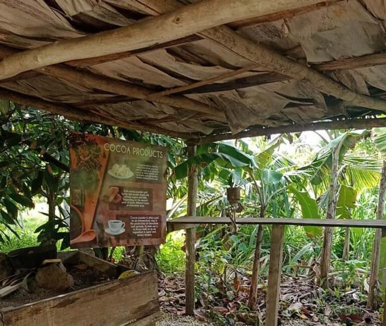 3-Hour Panoramic Tour of Punta Cana with Artisan Market - Exploring the Itinerary in Detail