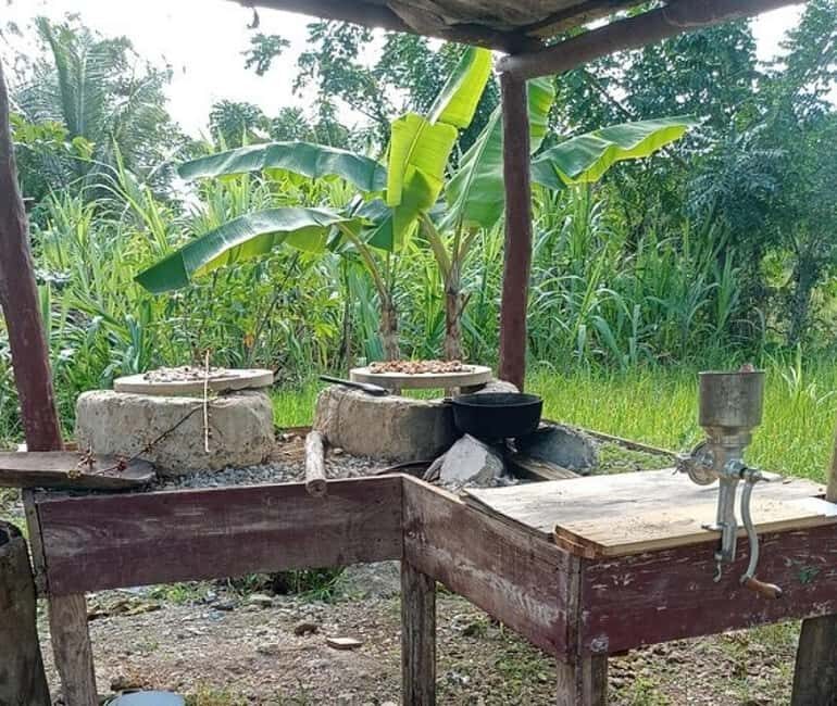 3-Hour Panoramic Tour of Punta Cana with Artisan Market - Final Thoughts: Who Is This Tour For?