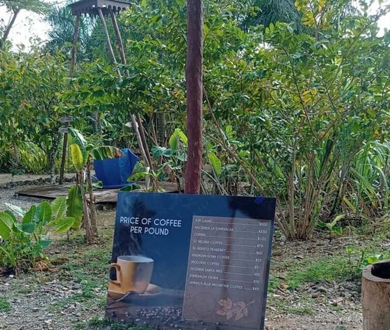 3-Hour Panoramic Tour of Punta Cana with Artisan Market - Frequently Asked Questions