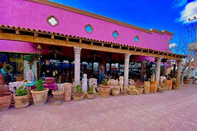 3 Hour Pink Store Lunch and Area Shopping in Palomas, Mexico - Good To Know