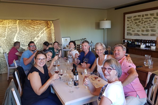 3-hour Port and Douro Wines Tasting Tour With 10 Tastings - Highlighted Delicious Wines