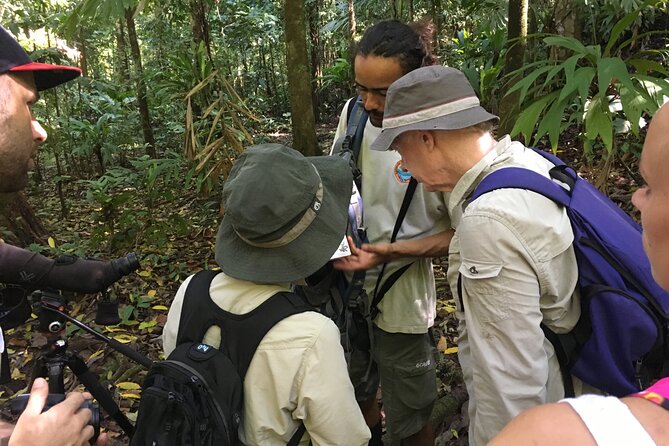 3-Hour Private Birdwatching Experience in Uvita / Ojochal - Reviews and Booking Options