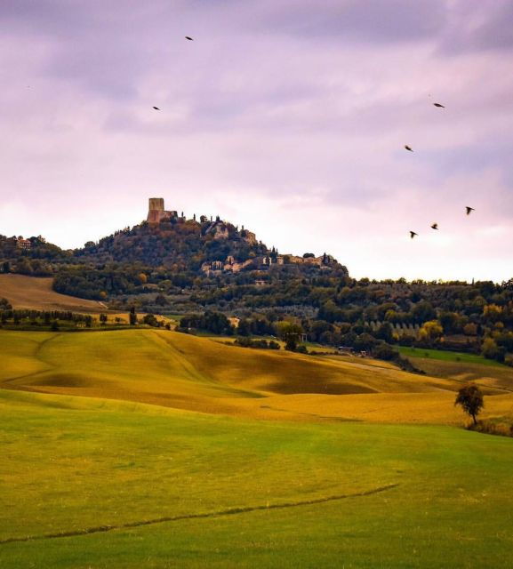 3-Hour Private Dinner in a Medieval Tower in San Gimignano - Activity Highlights