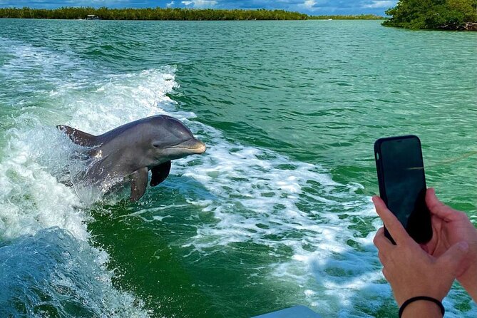 3 Hour Private Dolphin & Shelling Tour - Tour Overview and Booking Details