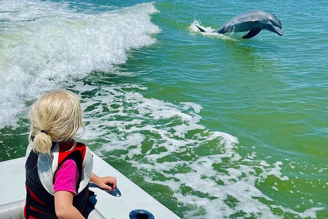 3 Hour Private Dolphin & Shelling Tour - Inclusions and Guidelines