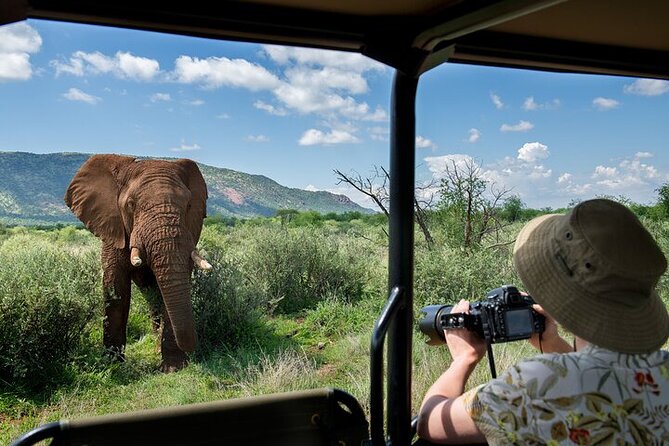 3-Hour Private Game Drive in Pilanesberg National Park - Good To Know
