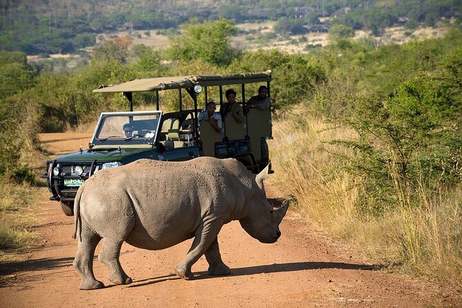 3-Hour Private Game Drive in Pilanesberg National Park - Directions and Additional Resources