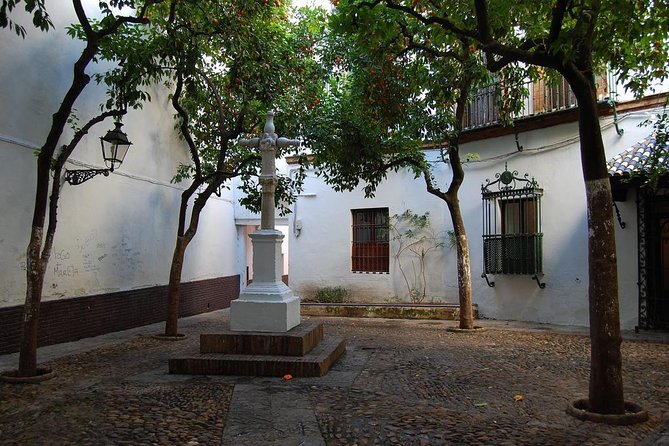 3 Hour Private Guided Tapas Walking Tour in Seville - Professional Guide for 3 Hours