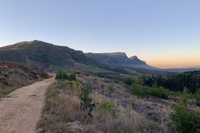 3 Hour Private Guided Tokai MTB Trail Ride - Trail Overview