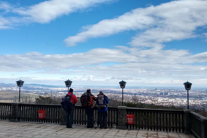 3-Hour Private Hiking Tour Over Parapluie Mountain With a View of Vienna - Tour Details