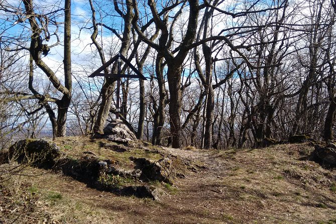 3-Hour Private Hiking Tour Over Parapluie Mountain With a View of Vienna - Highlights