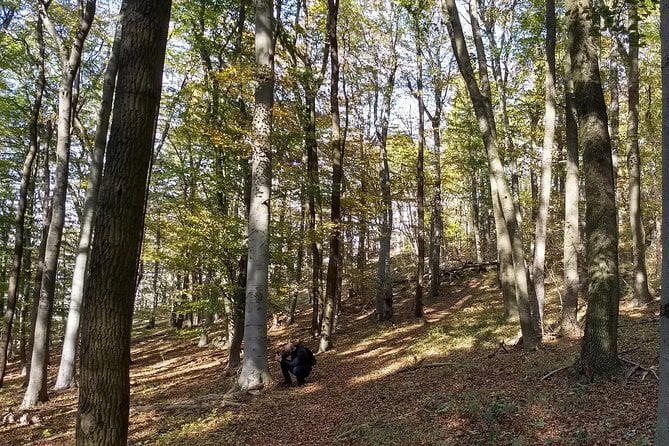 3-Hour Private Hiking Tour Over Parapluie Mountain With a View of Vienna - The Sum Up