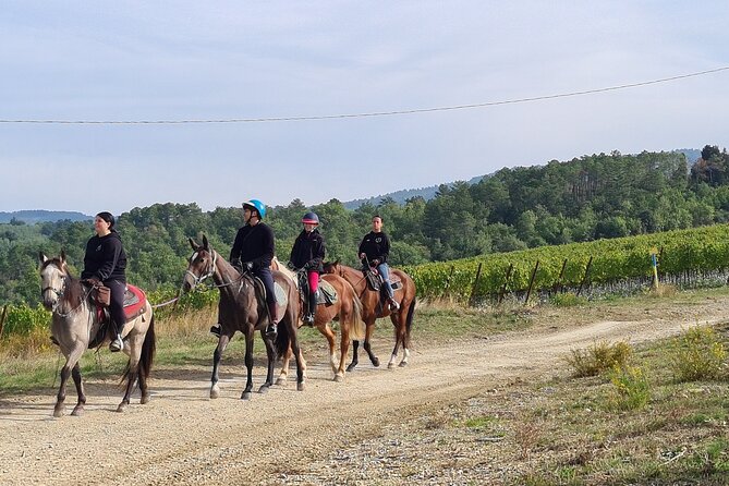 3 Hour Private Horse Ride to a Castle for Lunch and Wine Tasting - Frequently Asked Questions