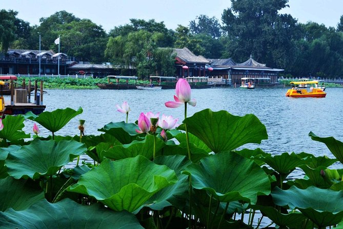 3-Hour Private Hutong Walking Tour With Drum Show at Drum Tower and Tea Tasting - Tour Highlights