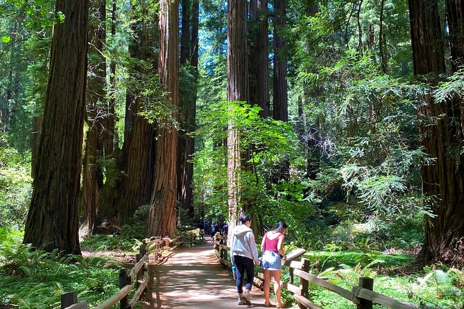 3-Hour Private Muir Giant Redwoods Trees and Sausalito Tour - Inclusions and Features