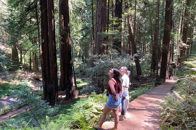 3-Hour Private Muir Giant Redwoods Trees and Sausalito Tour - Additional Information