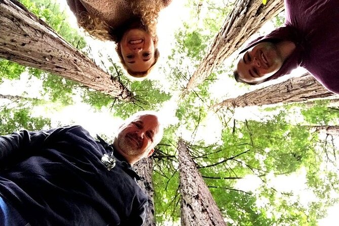 3-Hour Private Muir Giant Redwoods Trees and Sausalito Tour - Common Questions