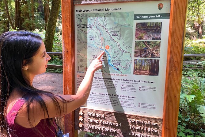 3-Hour Private Muir Giant Redwoods Trees and Sausalito Tour - The Sum Up