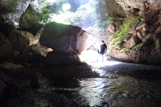 3-Hour Private Photography Tour in Waitomo Caves - Questions and Pricing