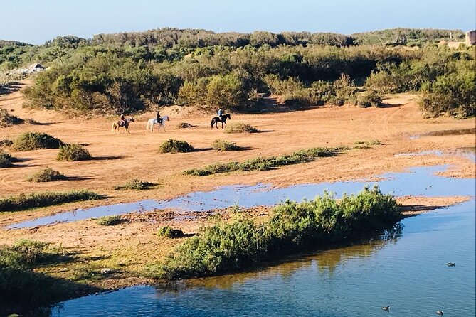 3-Hour Private Ride Between Beach and Dunes - Pricing Details