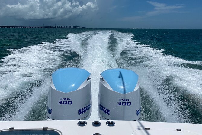 3 Hour Private Snorkeling in Marathon Florida - Whats Included