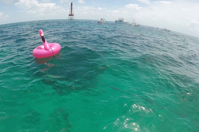 3 Hour Private Snorkeling in Marathon Florida - What To Expect and Additional Info