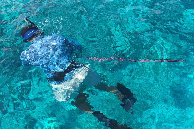 3 Hour Private Snorkeling in Marathon Florida - Common Questions