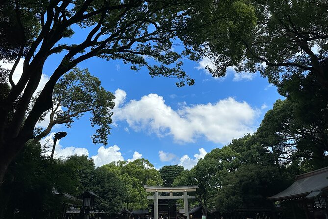 3 Hour Private Tokyo Meiji Jingu Shrine Wellness Tour - Cancellation Policy