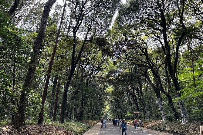 3 Hour Private Tokyo Meiji Jingu Shrine Wellness Tour - The Sum Up