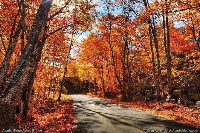 3 Hour Private Tour: Acadia National Park, Cadillac Summit & Park Loop Road - Common Questions