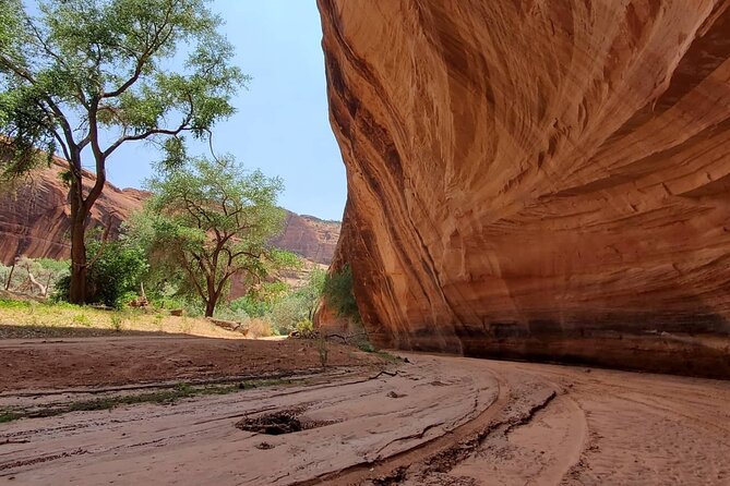 3 Hour Private Tour in Chinle - Pricing and Value