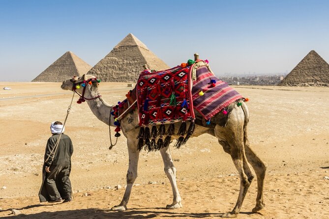 3 Hour Private Tour in Giza Pyramids - Operator Info
