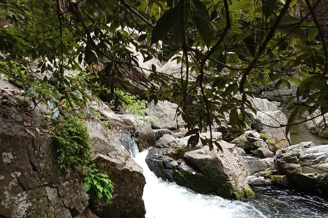 3-Hour Private Tour in Osaka Rapids Hike and Natural Hot Spring - Itinerary Details