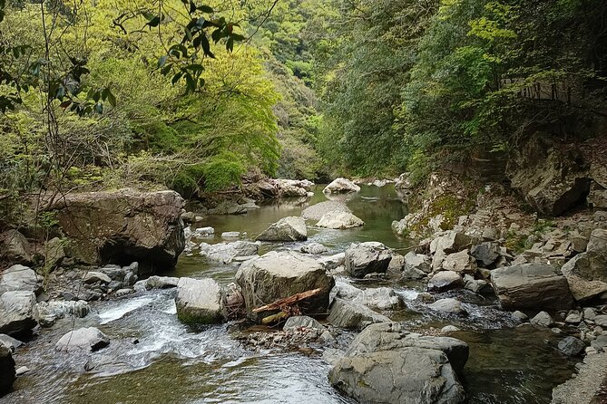 3-Hour Private Tour in Osaka Rapids Hike and Natural Hot Spring - Hot Spring Experience