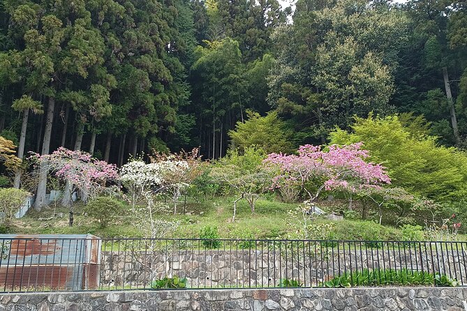 3-Hour Private Tour in Osaka Rapids Hike and Natural Hot Spring - Common Questions