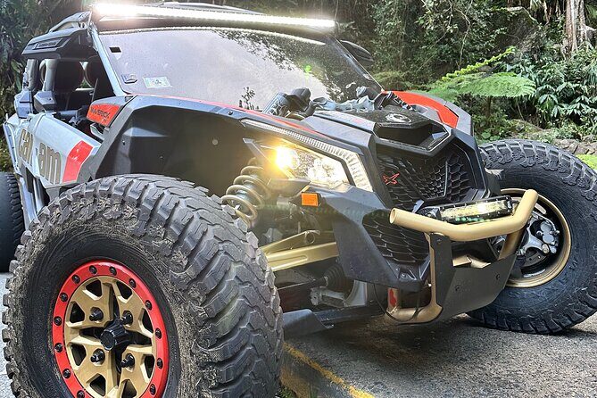 3-Hour Private UTV Tour in San Juan - What to Expect from the Itinerary