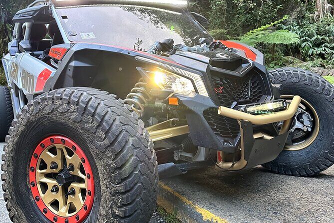 3-Hour Private UTV Tour in San Juan - Practical Tips for Your UTV Adventure