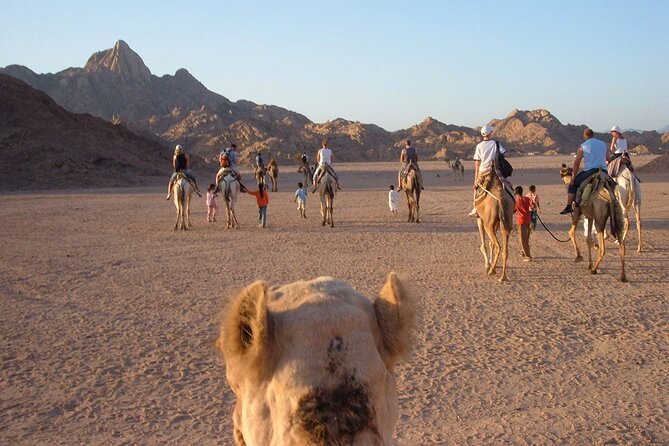 3-Hour Quad Bike Tour in Hurghada Desert - Included Services