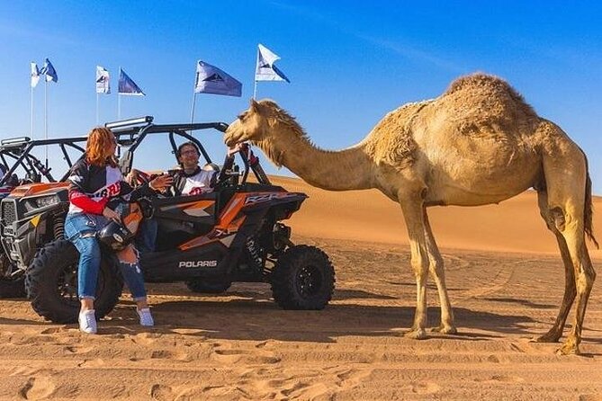 3-Hour Quad Ride With Camel Ride - Reviews Summary
