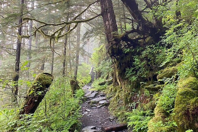 3-Hour Rainforest, Beach & Wildlife Walk - What’s Included & What to Expect