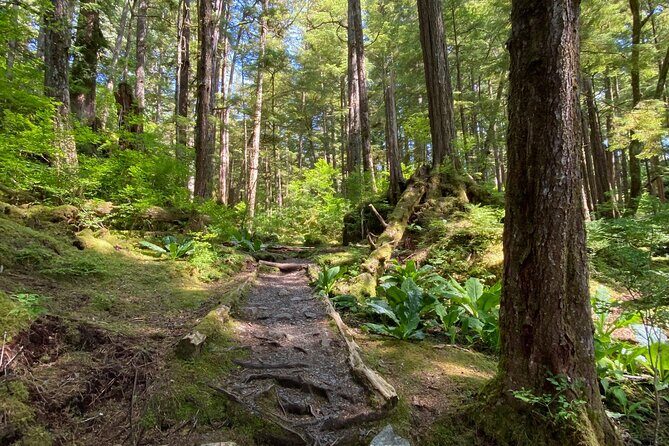 3-Hour Rainforest, Beach & Wildlife Walk - Who Will Love This Tour?